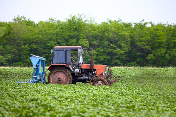Obraz premium Tractor
