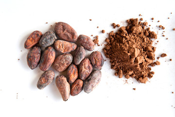 Graines de Cacao et Poudre de Cacao