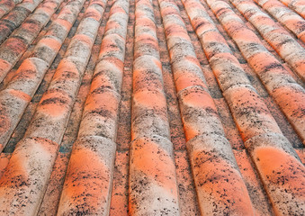 roof tiles