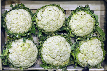 choux-fleurs