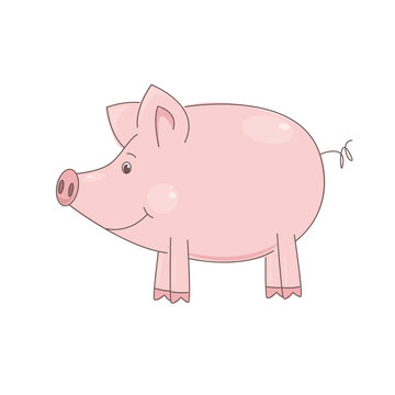 Vector illustration of cute little pig on white background.