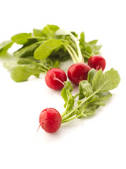 Radishes