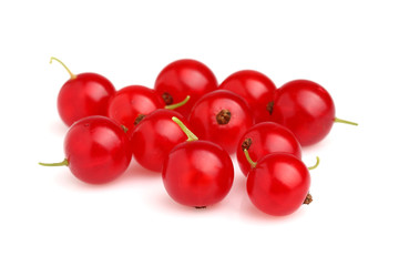 Red currant in closeup