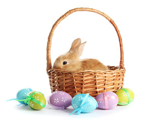 Fluffy foxy rabbit in basket with Easter eggs isolated on white