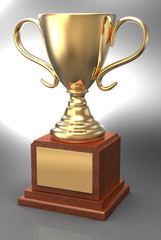 Winning gold trophy award cup plaque