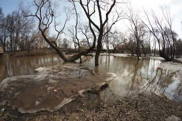 spring flood