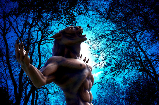 lycan how in up side view