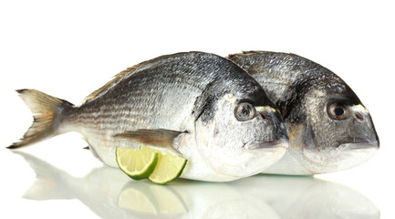 Two fish dorado with lemon isolated on white