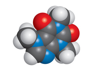 Caffeine molecule space-fill model - C8H10N4O2