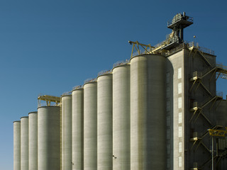 Silos in the sun
