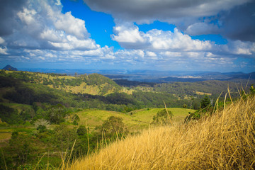 Naklejka premium Brisbane Outdoor Park