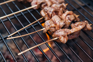 Meat rolls with bacon on grill