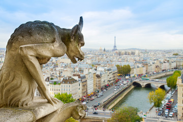 Gargoyle of  Paris