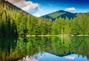 carpathian mountain lake synevyr in summertime