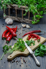 Spices and fresh herbs on cutting board