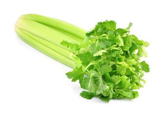 fresh green celery