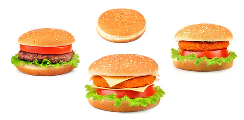 collection of hamburger