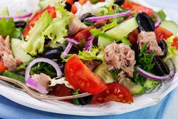 fresh vegetable salad with tuna