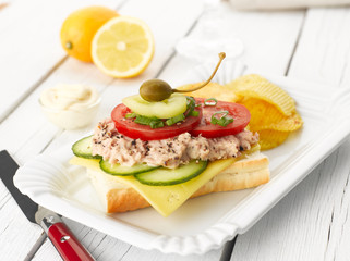 Tuna Fish Salad Sandwich