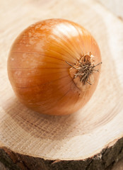onion on wooden background
