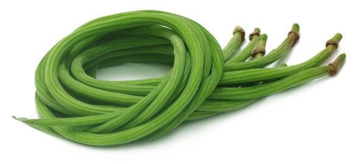 Moringa Oleifera or sonjna of Indian subcontinent