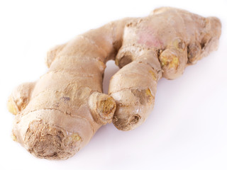 Fototapeta premium Ginger