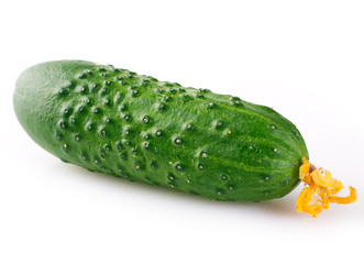 Fresh cucumber