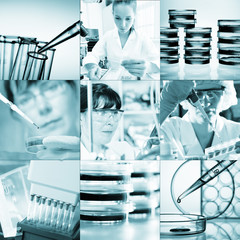 Laboratory