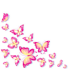 Naklejka na ściany i meble butterfly,butterflies