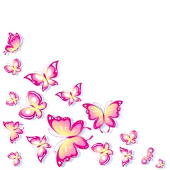 Crédence de cuisine en verre imprimé Papillon papillon, vecteur de papillons