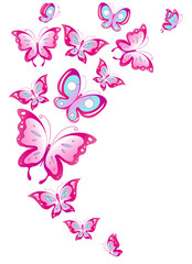 Plakat butterfly,butterflies vector