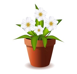 Illustration of flower in pot.