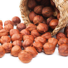 hazelnuts and basket on white