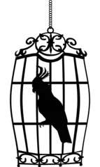 Foto auf Acrylglas Vögel in Käfigen Papagei im Käfig isoliert auf weiß