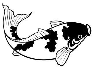 carp fish on white background for coloring