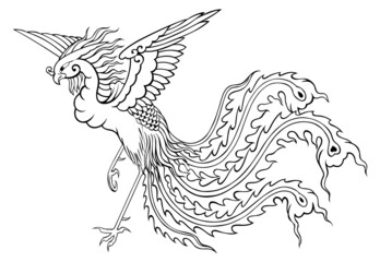 phoenix chinese style for coloring