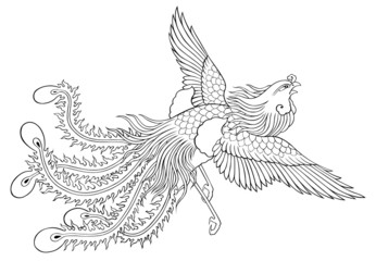phoenix chinese style for coloring