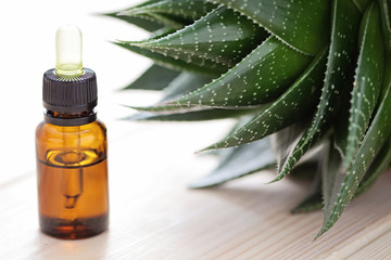 aloe vera essential oil