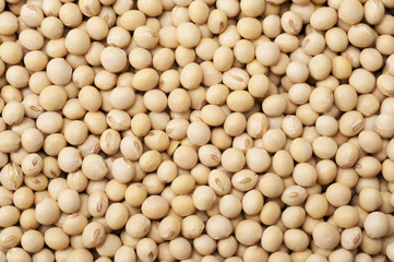 大豆の背景素材
