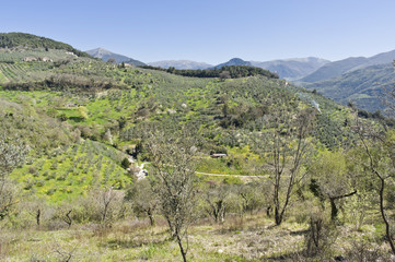 Italian Countryside Spring Panorama