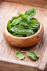 Young spinach in wooden bowl