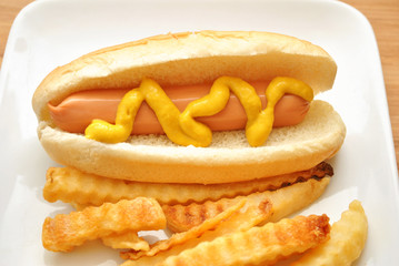 Hot Dog with Mustard on a Plate with Fries
