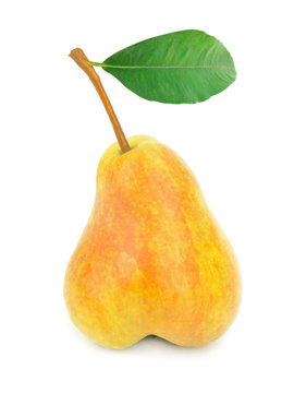 Ripe yellow pear on white background