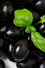 black olives with basilica, closeup