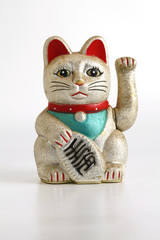 Lucky Cat in White Background