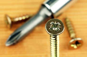 screwdriver and screws.