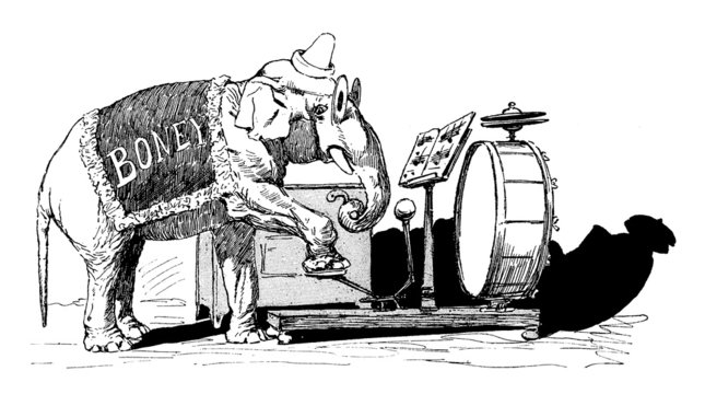 Circus Elephant : Musician