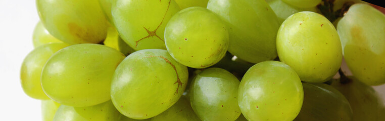 bunch of grapes on a light background