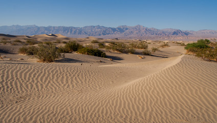 Fototapeta na wymiar Sand dunes Death Valley
