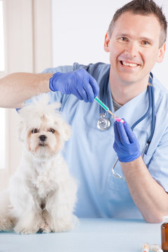 Vet dog and client